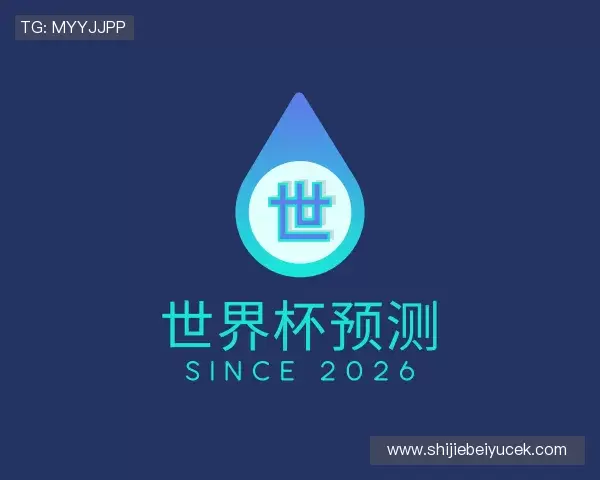 认识世界杯AI预测网